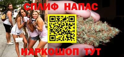 гидра Новокубанск