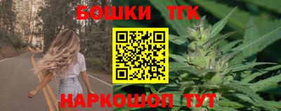 тгк Новодвинск