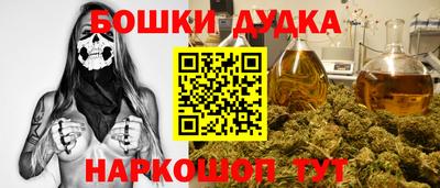 тгк Новодвинск