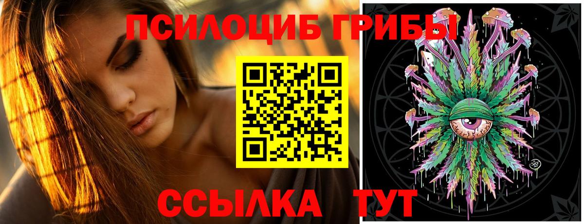 купить наркоту  Псилоцибиновые грибы Psilocybe  Вход с VPN  Тавда  Псилоцибиновые грибы мицелий 